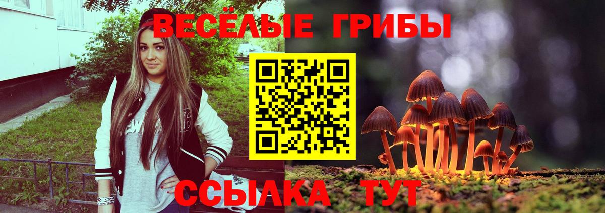 Галлюциногенные грибы Magic Shrooms Ижевск