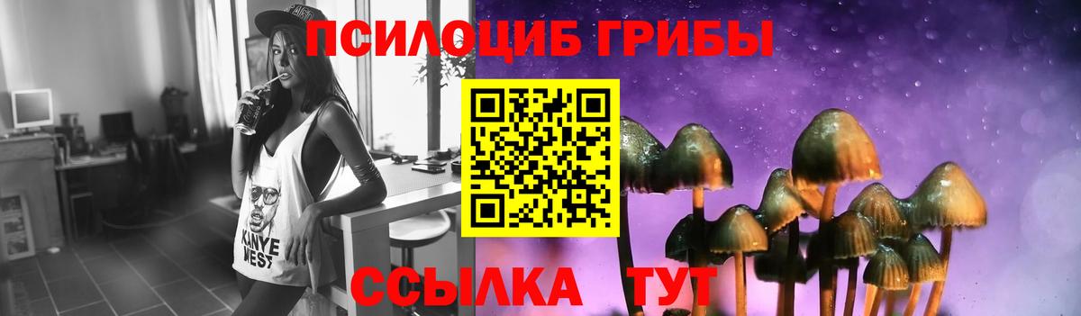Галлюциногенные грибы Psilocybine cubensis  Вход с VPN  Псилоцибиновые грибы мухоморы  Ижевск 